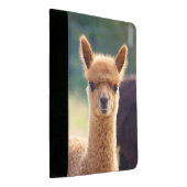 Beautiful Baby Alpaca Padfolio (Angled)