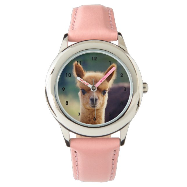 Beautiful Baby Alpaca Watch (Front)