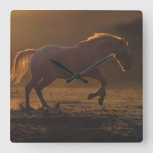 Beautiful Back Lit Appaloosa Horse Clock