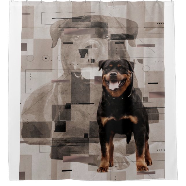 Beautiful Background Rottweiler  - Metzgerhund Shower Curtain (Front)