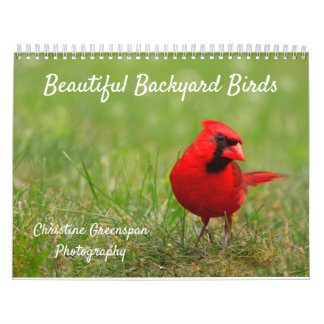 Beautiful Backyard Birds Calendar