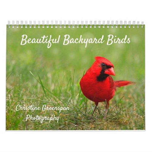 Beautiful Backyard Birds Calendar