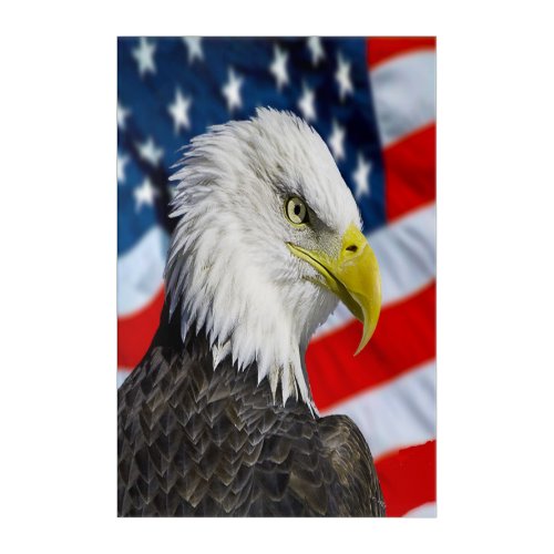 Beautiful Bald Eagle head  and a American flag 1 Acrylic Print