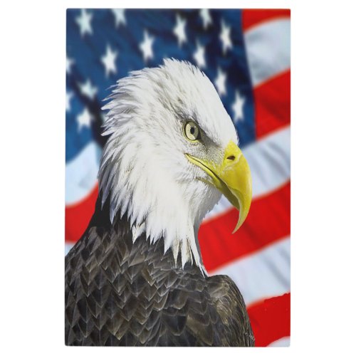 Beautiful Bald Eagle head  and a American flag 1 Metal Print