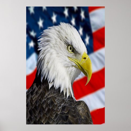 Beautiful Bald Eagle head  and a American flag 1 Poster