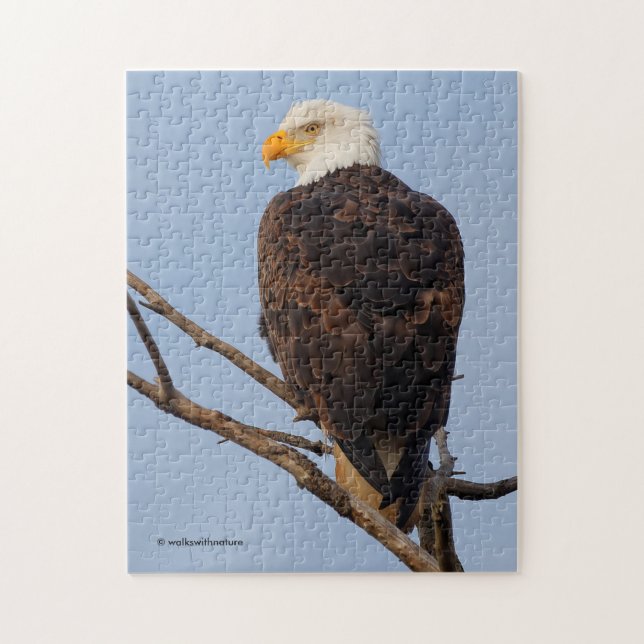 Beautiful Bald Eagle in a Tree Jigsaw Puzzle (Vertical)