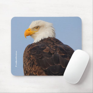 Beautiful Bald Eagle in a Tree Mouse Pad