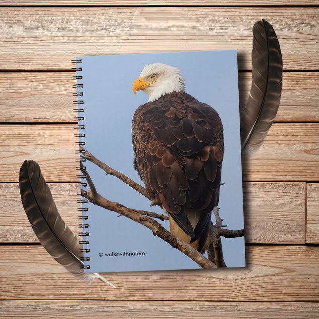 Beautiful Bald Eagle in a Tree Notebook (Beautiful Bald Eagle in a Tree Journal Cover Photo)
