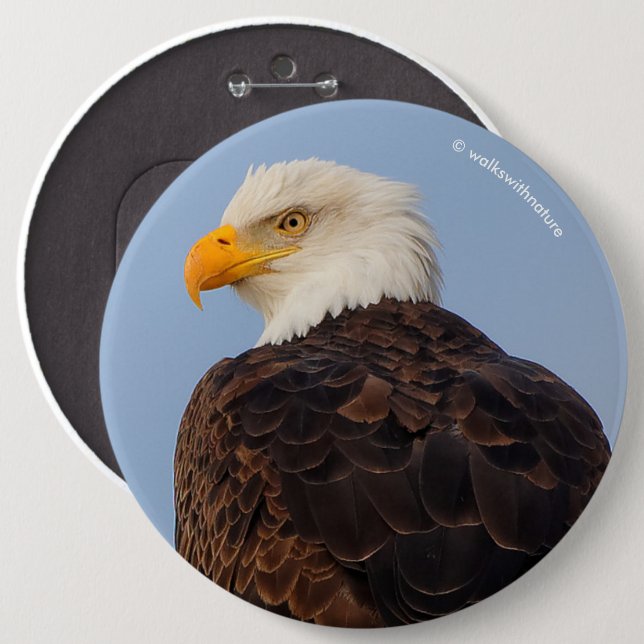 Beautiful Bald Eagle in a Tree Pinback Button (Front & Back)