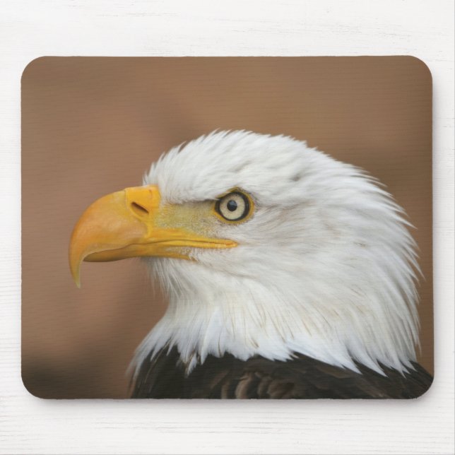 Beautiful Bald Eagle Mouse Pad (Front)