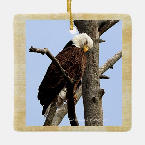 Beautiful Bald Eagle Of Columbiana Ohio Ceramic Ornament