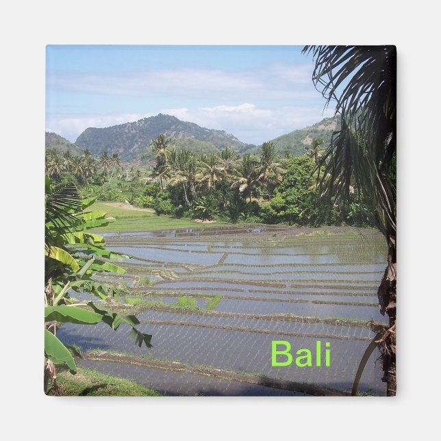 Beautiful Bali rice paddies Magnet (Front)