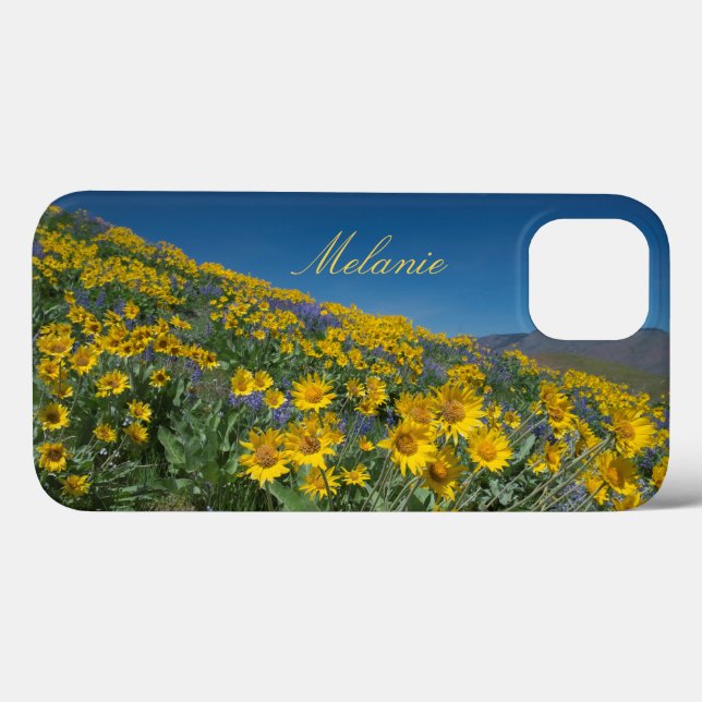 Beautiful Balsamroot Bloom Case-Mate iPhone Case (Back (Horizontal))