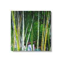 Beautiful bamboo grove green yellow and gray