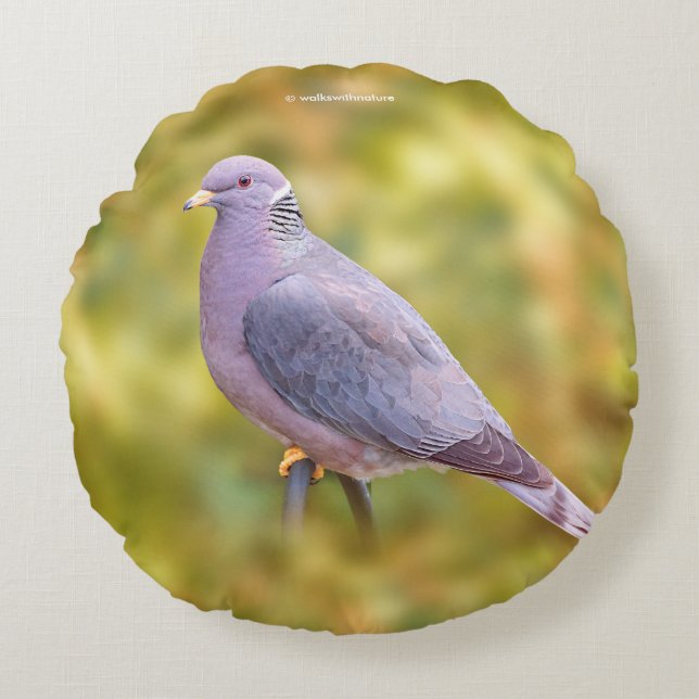 Beautiful Band-Tailed Pigeon in My Backyard Round Pillow (Front)