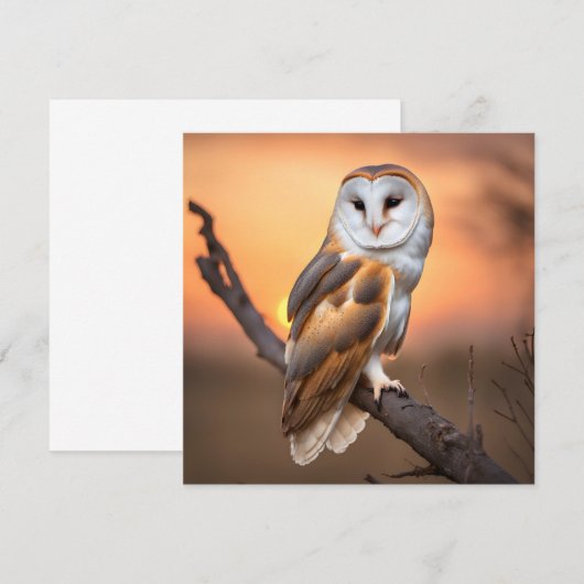 Beautiful Barn Owl (Front/Back)