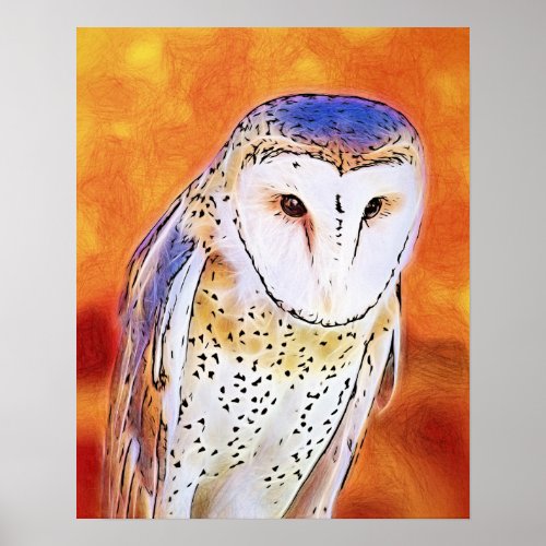 Beautiful Barn Owl Bird With White Face Poster