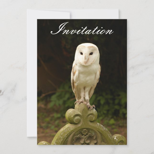 Beautiful Barn Owl Invitation (Front)