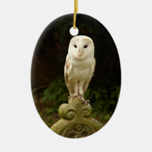 Beautiful Barn Owl Ornament