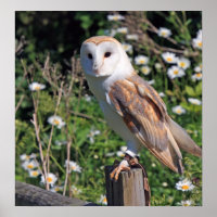 NEW Christmas Presents Set for Letter Boards - Barn Owl Primitives