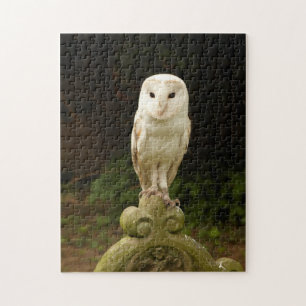 Beautiful Barn Owl Puzzle/Jigsaw Jigsaw Puzzle