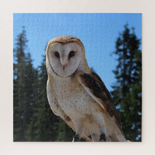 Beautiful Barn Owl With Sky and Green Trees Photo Jigsaw Puzzle