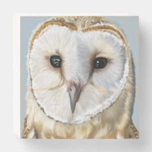 Beautiful Barn Owl Wooden Box Sign