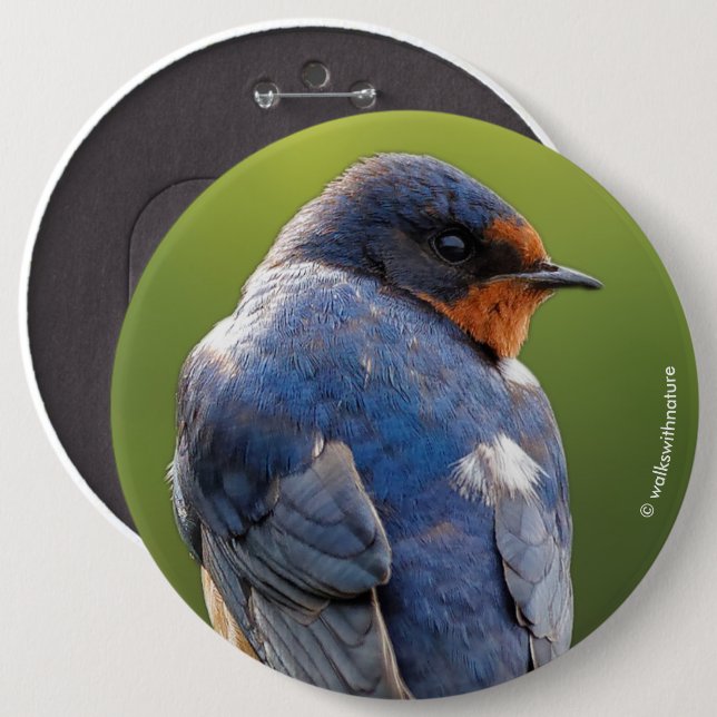 Beautiful Barn Swallow Button (Front & Back)