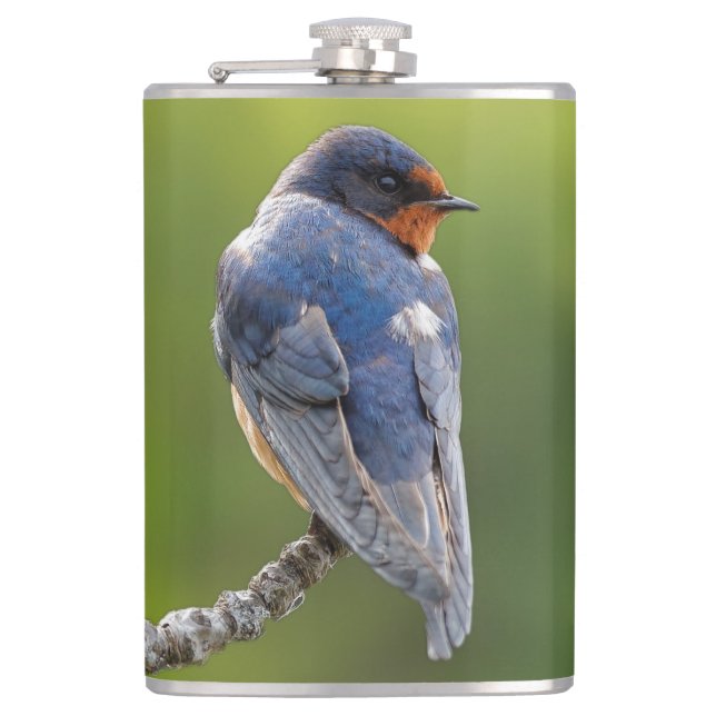 Beautiful Barn Swallow on a Branch Flask (Front)