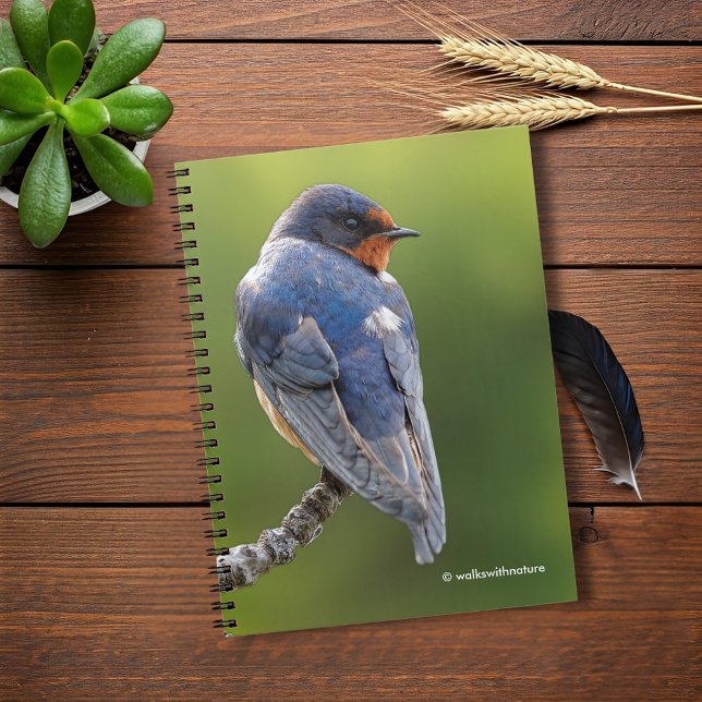Beautiful Barn Swallow on a Branch Notebook (Beautiful Barn Swallow on a Branch Journal Cover Photo)