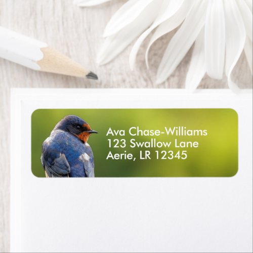 Beautiful Barn Swallow Songbird Label