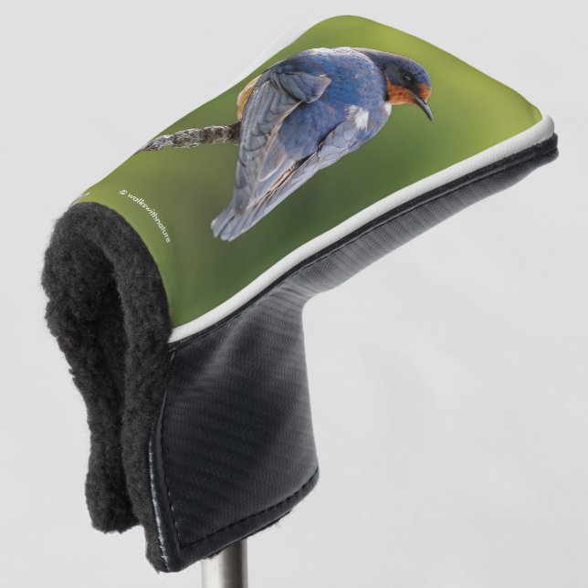 Beautiful Barn Swallow Songbird on a Branch Golf Head Cover (3/4 Front)