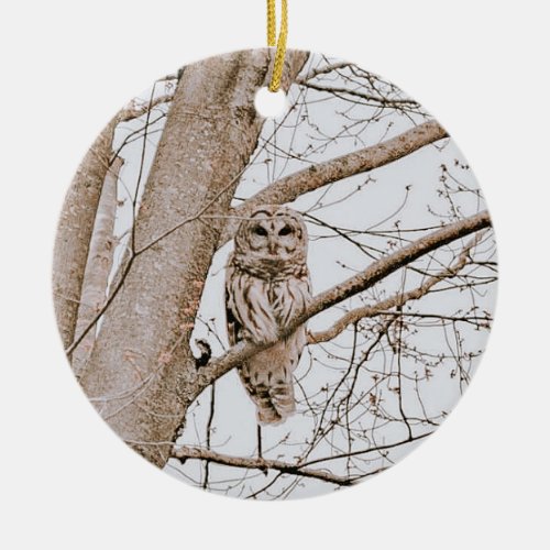 Beautiful Barred Owl Audubon Christmas Ceramic Ornament