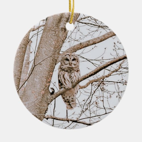 Beautiful Barred Owl Audubon Valentines  Ceramic Ornament