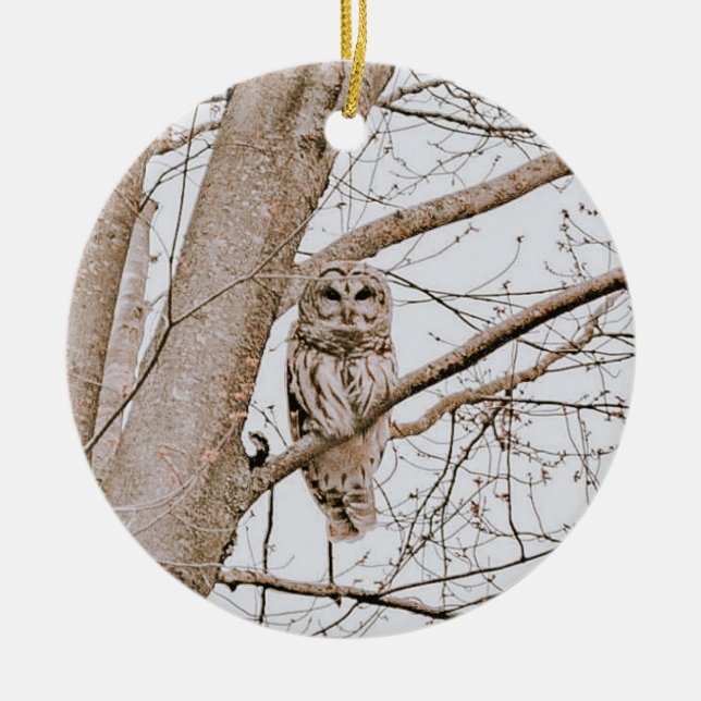 Beautiful Barred Owl Audubon Valentine’s  Ceramic Ornament (Front)