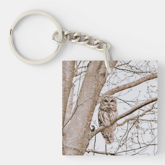 Beautiful Barred Owl Audubon Valentine’s  Keychain (Front)