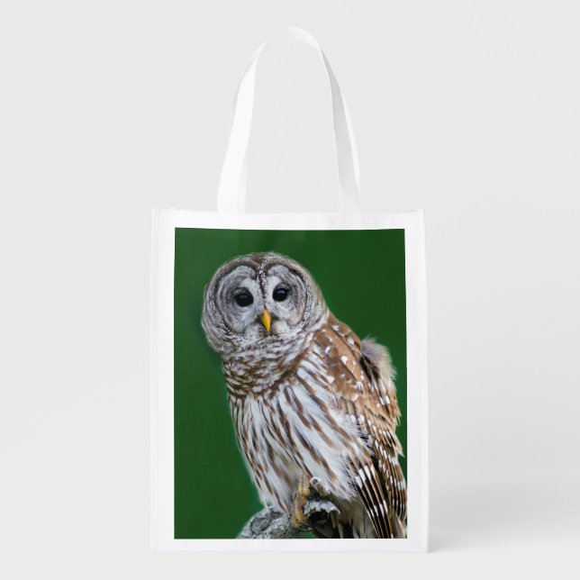 Beautiful Barred Owl - Birder's Foldable Bag (Front)