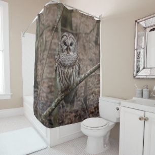 Beautiful Barred Owl Print Shower Curtain