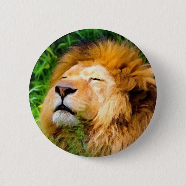 Beautiful Basking Male Lion African Wildlife Button (Front)