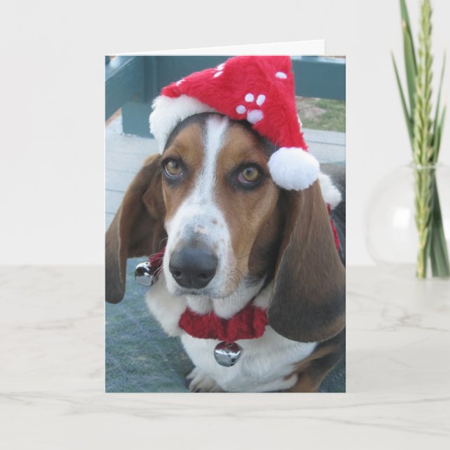 Beautiful Basset Santa Christmas Holiday Card (Front)