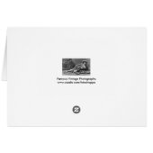 Beautiful Bathing Beauties On Ice Cards (Back Horizontal)