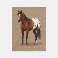 Buckskin Blanket Appaloosa