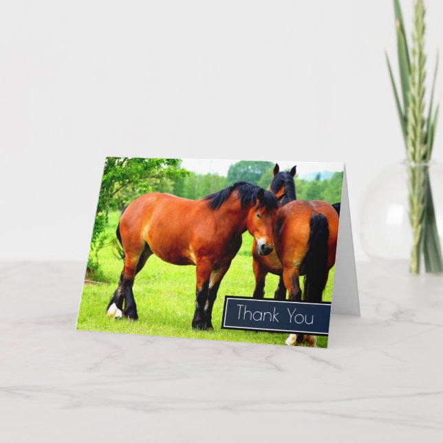 Beautiful Bay Draft Horses In A Meadow Thank You Card (Front)