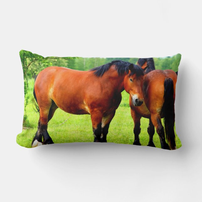 Beautiful Bay Draft Horses In Lush Green Meadow Lumbar Pillow (Front)