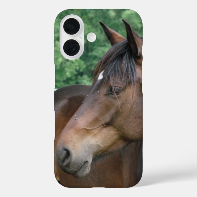 Beautiful Bay Horse Face Case-Mate iPhone Case (Back)