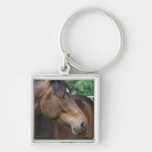 Beautiful Bay Horse Keychain