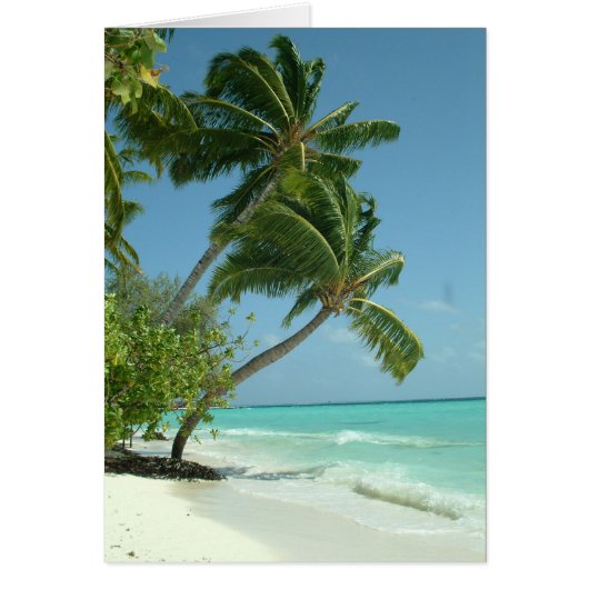 Beautiful Beach, Maldives (Front)