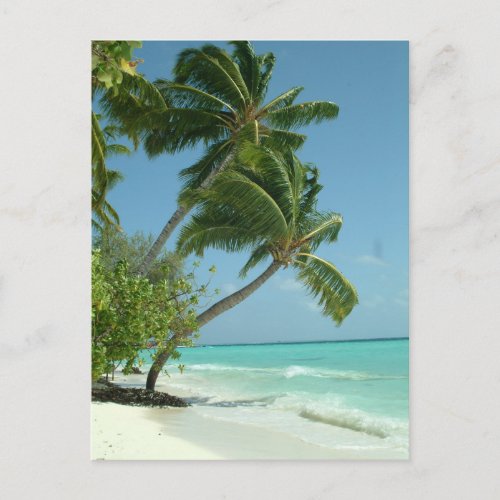 Beautiful Beach Maldives Postcard