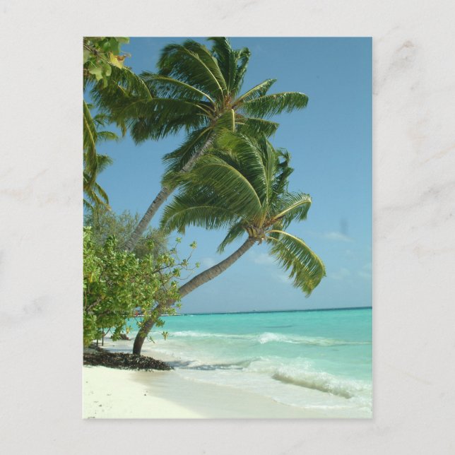 Beautiful Beach, Maldives Postcard (Front)