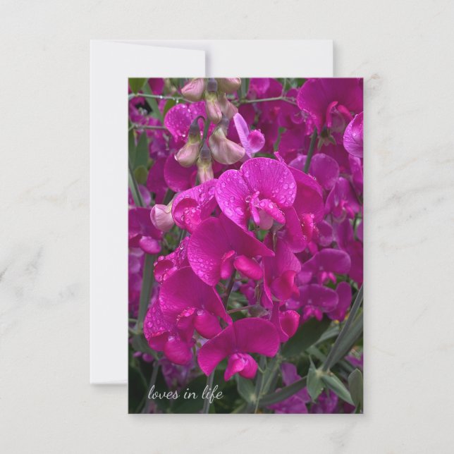 Beautiful Beach Sweet Pea Note Card (Front)